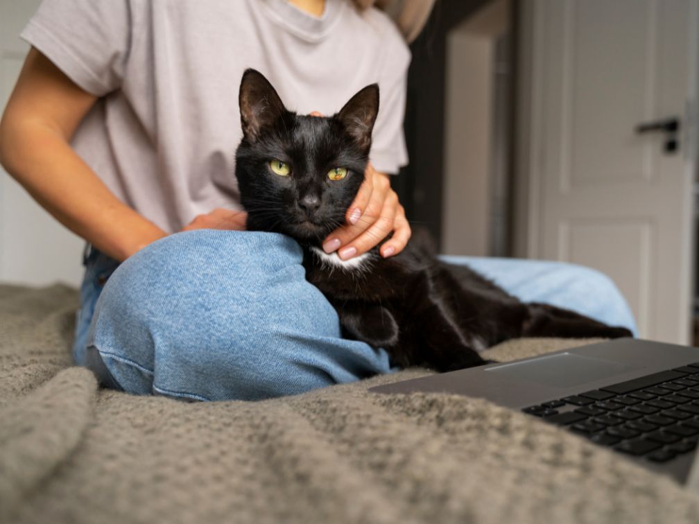 a person holding a black cat